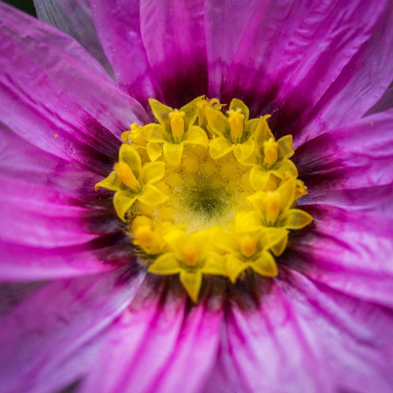 IMAGE: http://i103.photobucket.com/albums/m150/Echo63/BEN22409_zpskblfejgl.jpg