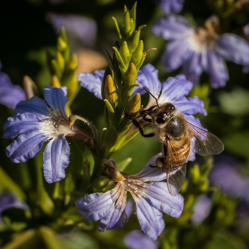 IMAGE: http://i103.photobucket.com/albums/m150/Echo63/BEN23012_zpsv0jkdd0q.jpg