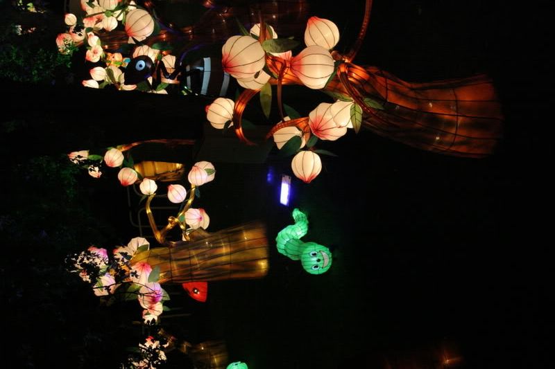 Lantern Festival Pictures, Images and Photos