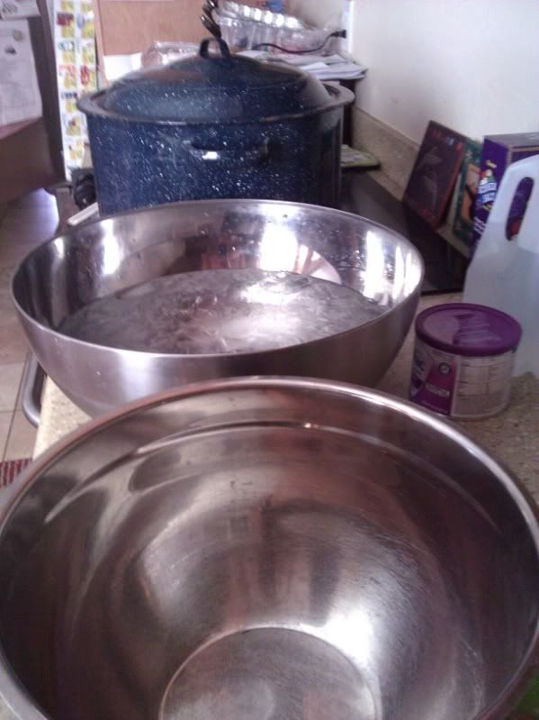 Blanching Peaches requires a boiling pot of water and a bowl of ice cold water. Blanching helps prepare the peaches for peach jam.