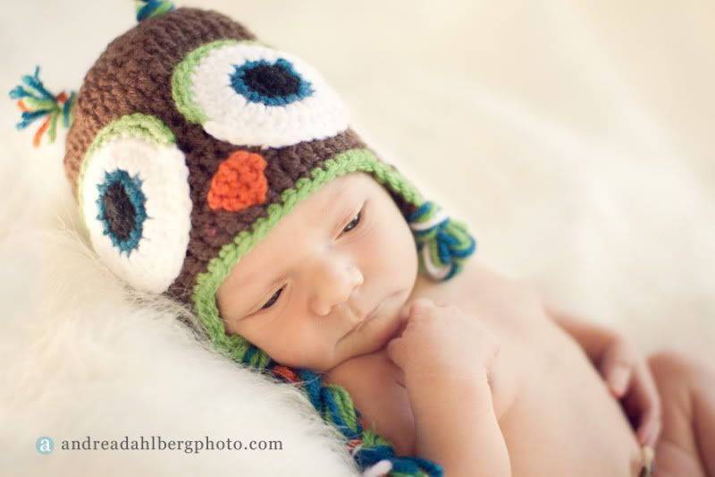 Crocheted Newborn Owl Hat by Becoming Homegrown and photography by Andrea Dahlberg Photography