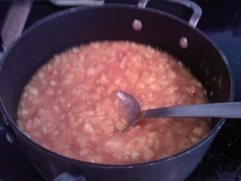 Stir the peaches constantly while boiling to dissolve the no sugar added pectin. Do not be worried if you boil a little longer to get the desired consistency for Peach Jam