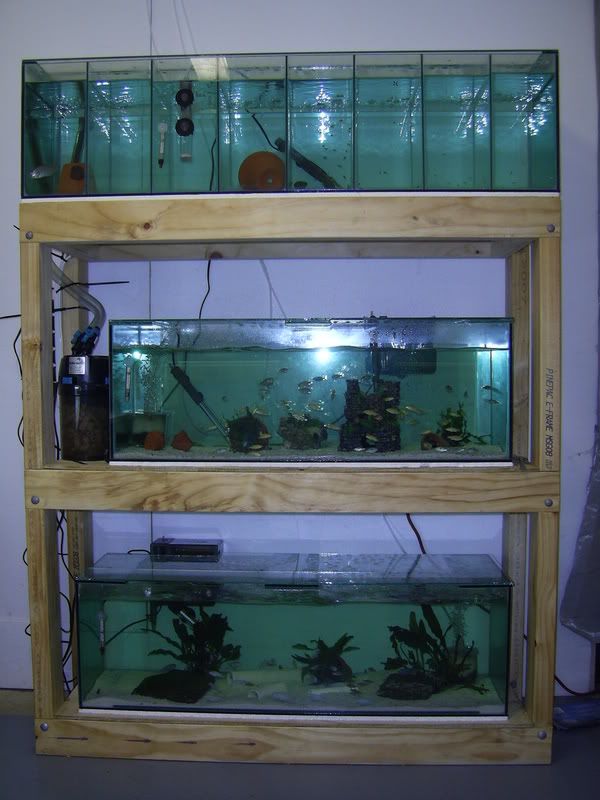 fishtank338.jpg