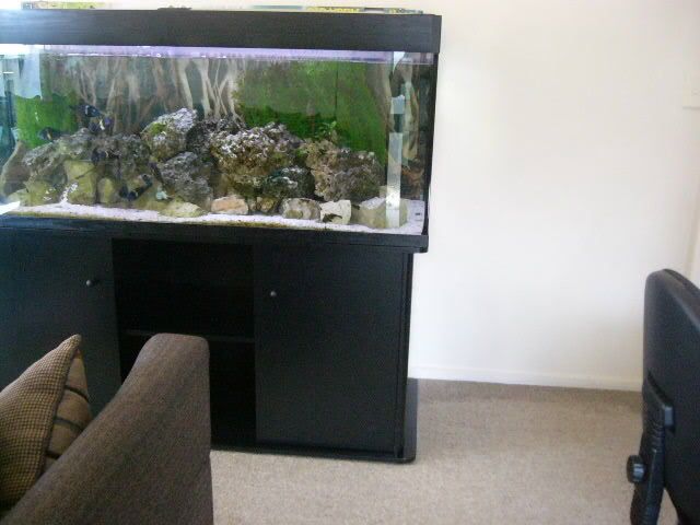 fishtank850.jpg