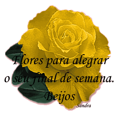 Flores Pictures, Images and Photos