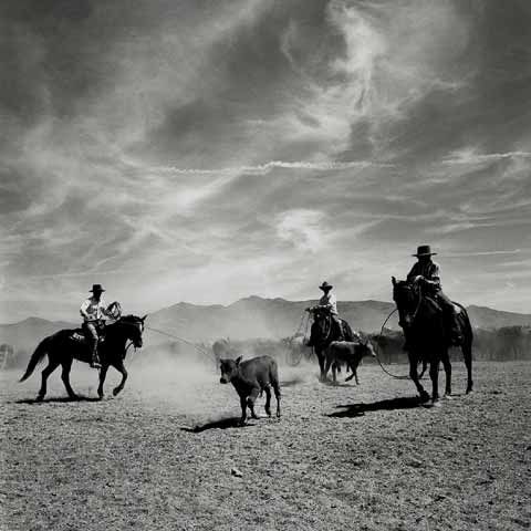 Cowboys Pictures, Images and Photos