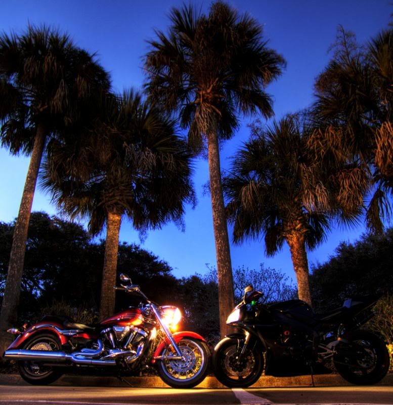 http://i103.photobucket.com/albums/m153/bluemeanietsi/Daytona/bikestrees2-1.jpg