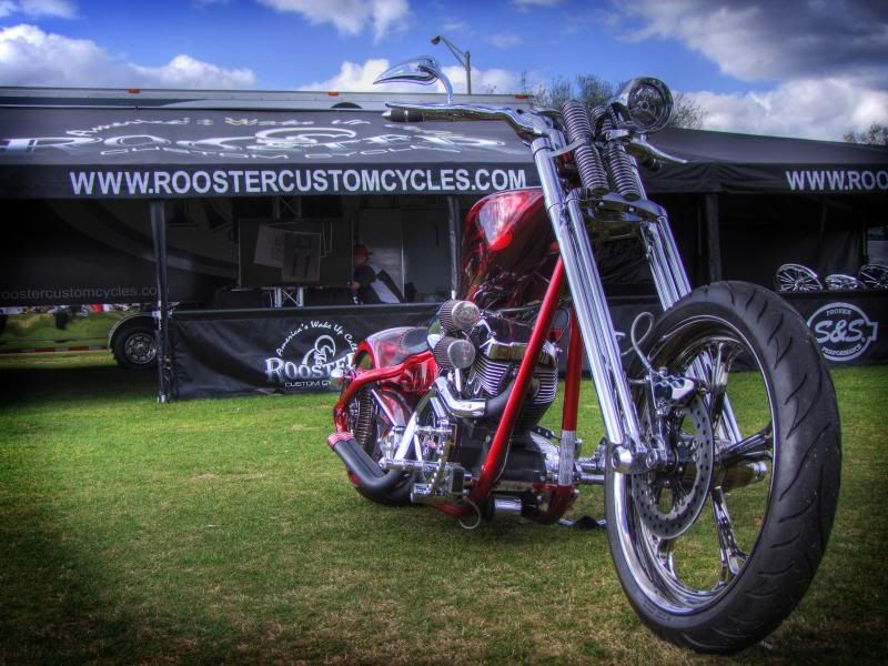 http://i103.photobucket.com/albums/m153/bluemeanietsi/Daytona/chopper3-1.jpg