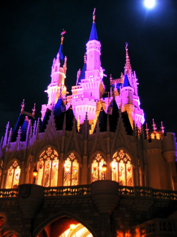 http://i103.photobucket.com/albums/m153/bluemeanietsi/florida/disney3-1024.jpg