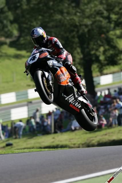 2019 hardtail of the year