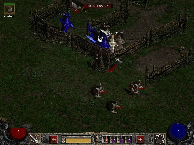 HelenaNM23cows_zps5b9a4e39.jpg