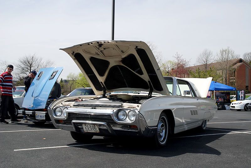 [Image: DSC_0095.jpg]