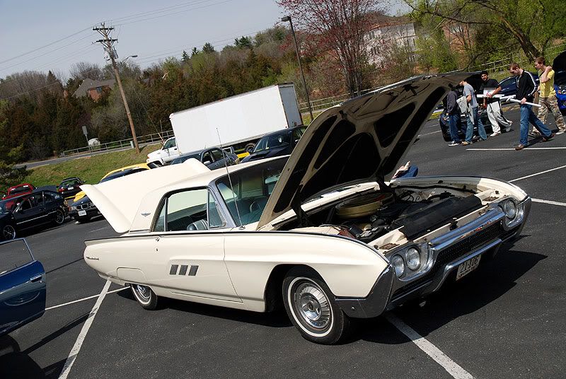 [Image: DSC_0097.jpg]