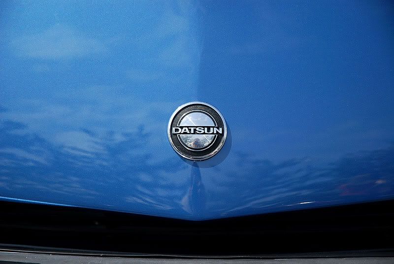 [Image: DSC_0103.jpg]