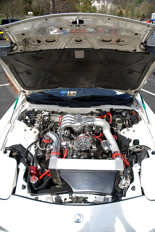 [Image: DSC_0120.jpg]