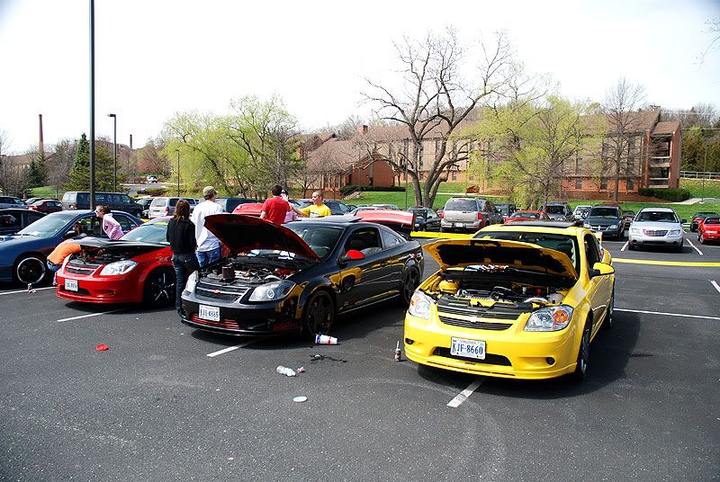 [Image: DSC_0121.jpg]