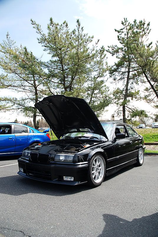 [Image: DSC_0123.jpg]