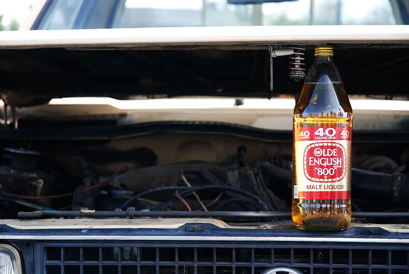 [Image: DSC_0129.jpg]