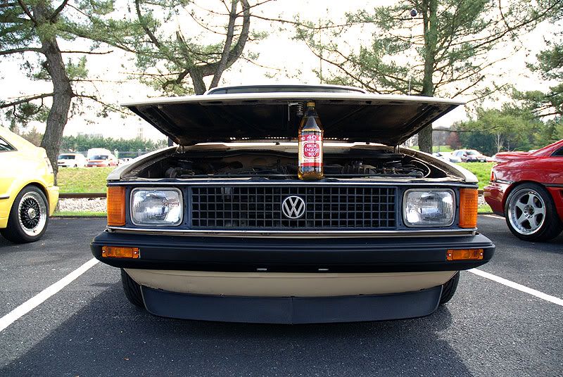 [Image: DSC_0130.jpg]