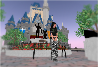 Mouse World- Cinderella castle