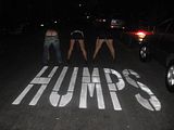 th_humps.jpg