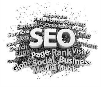 search engine optimisation expert