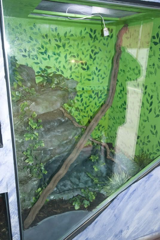 Half Land Half Water Setups Post pics here Page 2 Reptile Forums