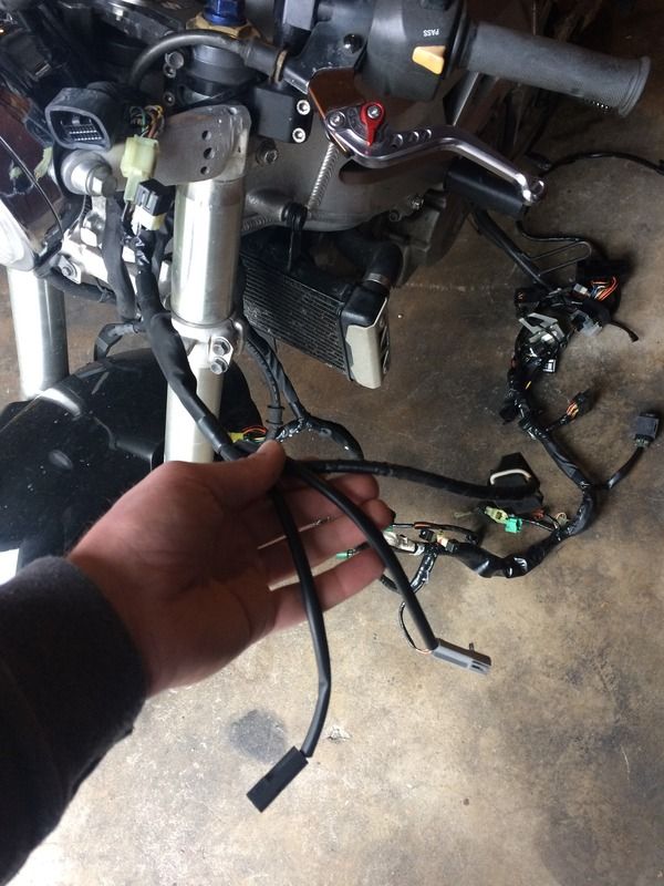 Electrical Question: Thinning the Harness | Suzuki SV650 Riders Forum