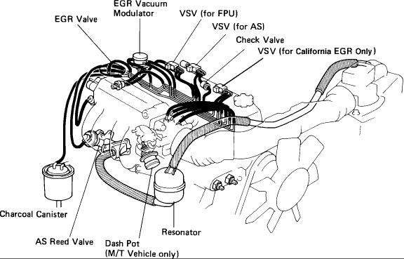 Need Help Fast: Fuel Regulator Hoses Go Where? 