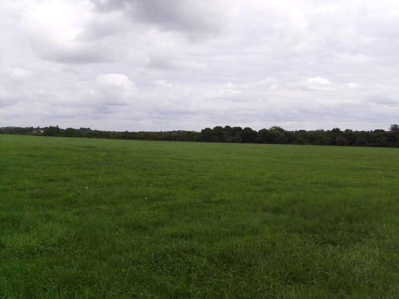 IMGP0002.jpg