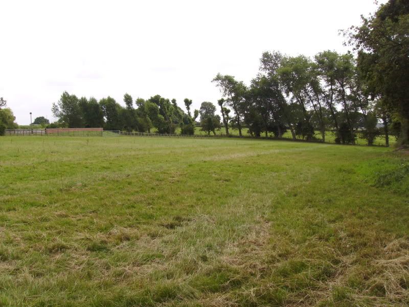 IMGP0008.jpg