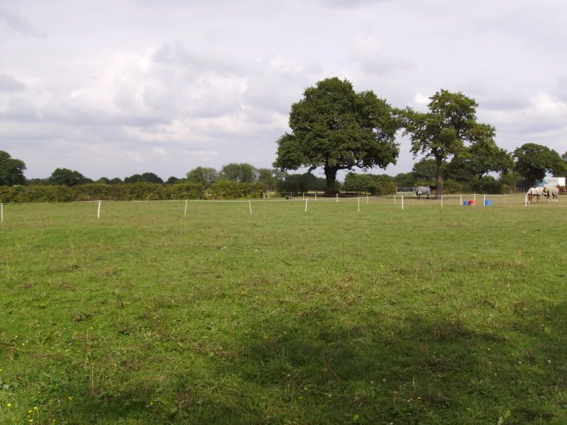 IMGP0009.jpg