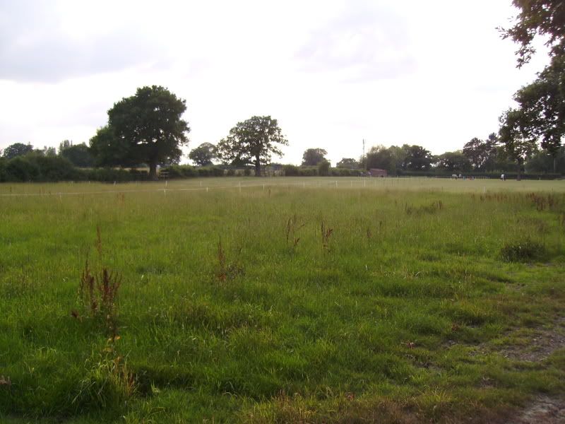 IMGP0012.jpg