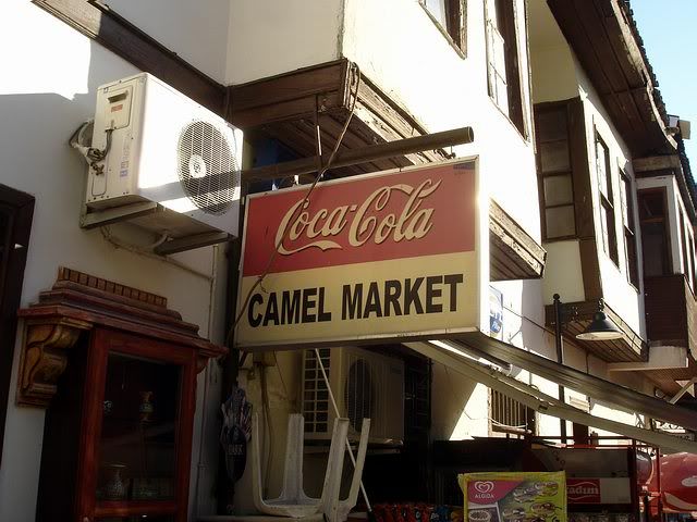 Camel market