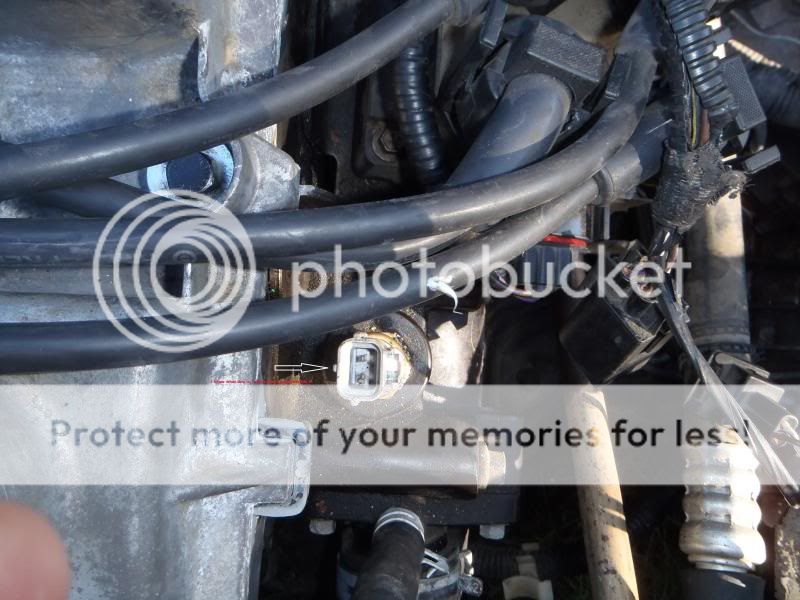 '97 Zetec 2.0 Engine Wiring. | Ford Automobiles Forum