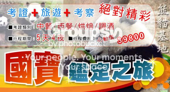 五天四夜專業團